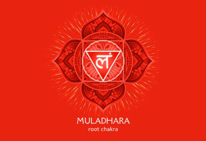 چاکرای ریشه (مولادهارا)